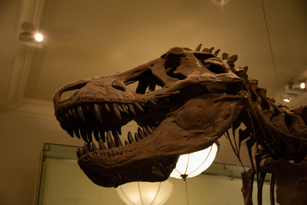 NYC & Canada Ft. BDC