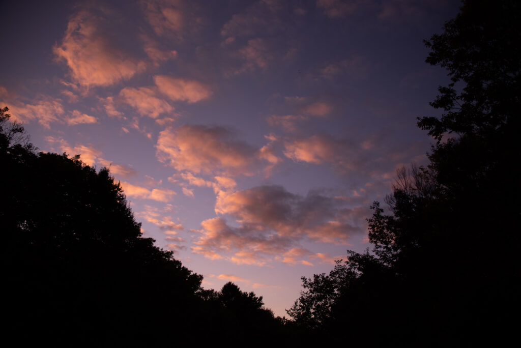 NYC & Canada Ft. BDC