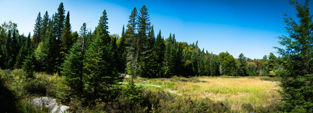 NYC & Canada Ft. BDC